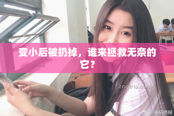 变小后被扔掉，谁来拯救无奈的它？
