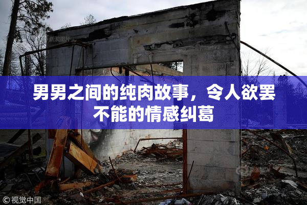 男男之间的纯肉故事，令人欲罢不能的情感纠葛