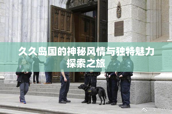 久久岛国的神秘风情与独特魅力探索之旅