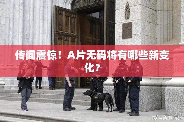 传闻震惊！A片无码将有哪些新变化？