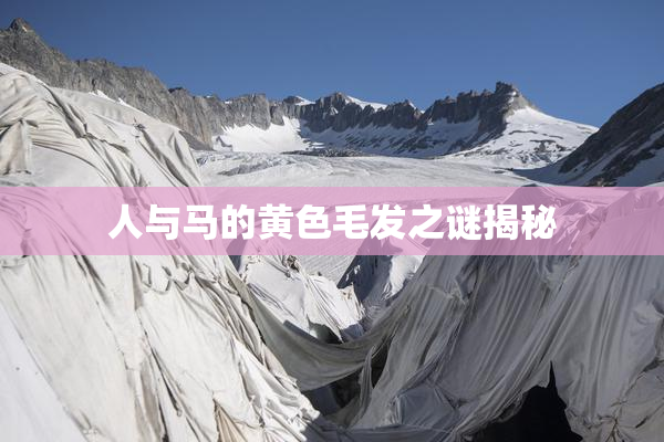 人与马的黄色毛发之谜揭秘