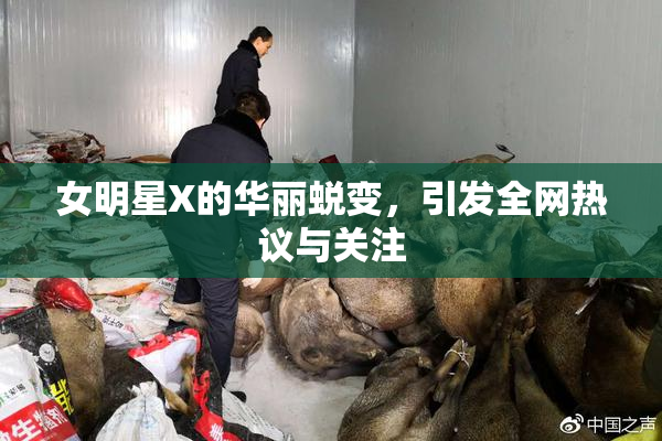 女明星X的华丽蜕变，引发全网热议与关注