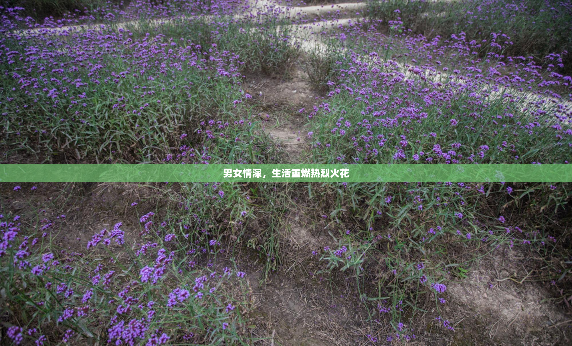 男女情深，生活重燃热烈火花
