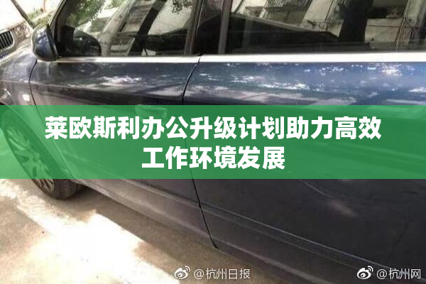 莱欧斯利办公升级计划助力高效工作环境发展