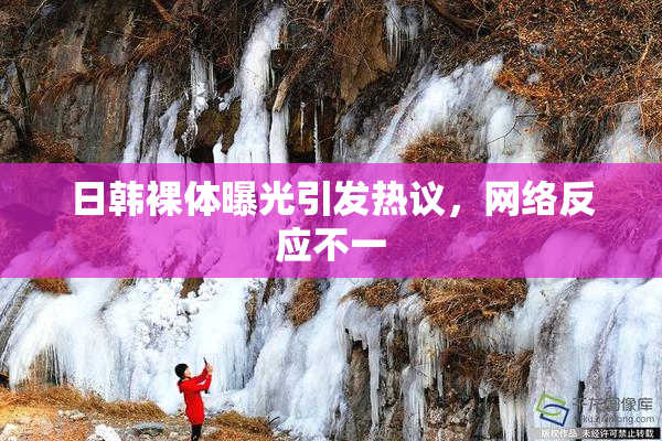 日韩裸体曝光引发热议，网络反应不一