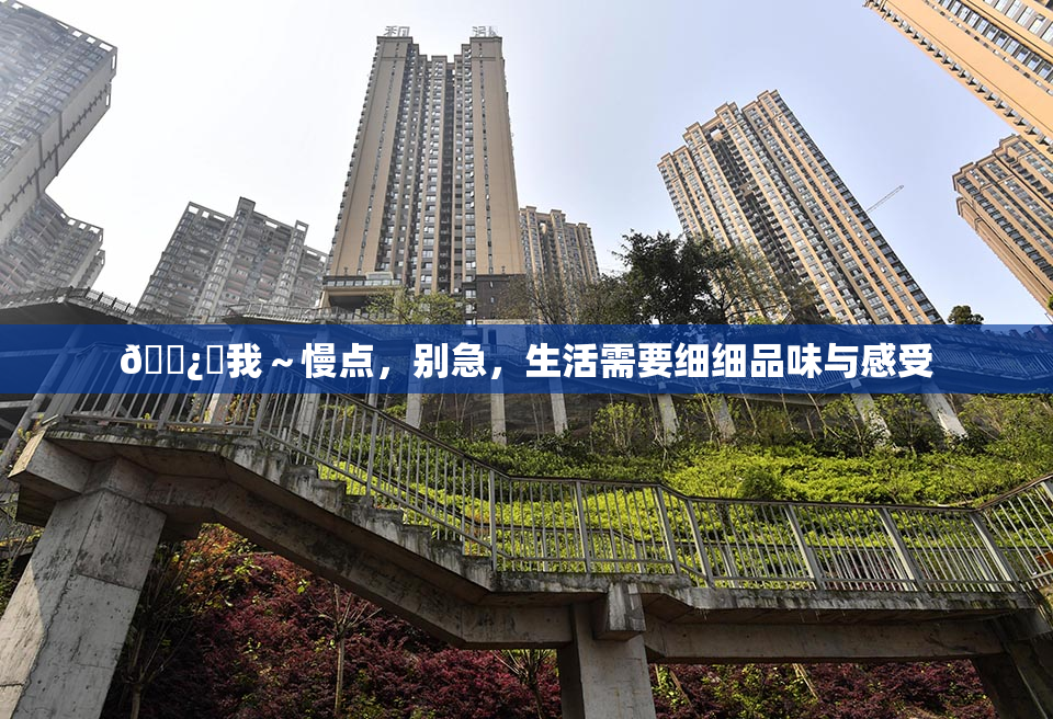 🌿‌我～慢点，别急，生活需要细细品味与感受