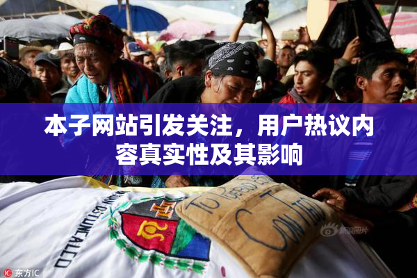 本子网站引发关注，用户热议内容真实性及其影响
