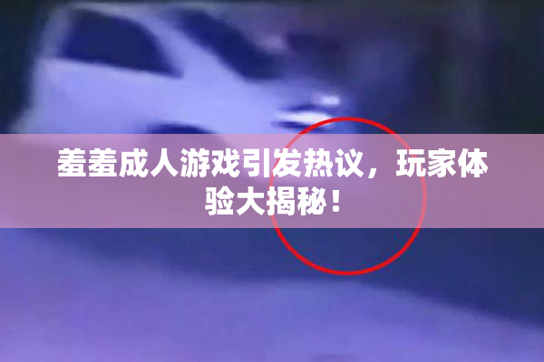 羞羞成人游戏引发热议，玩家体验大揭秘！