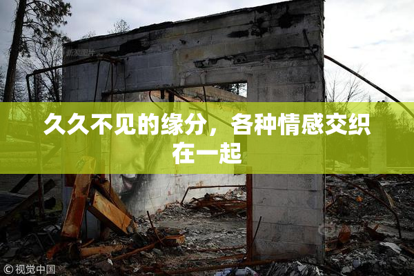久久不见的缘分，各种情感交织在一起