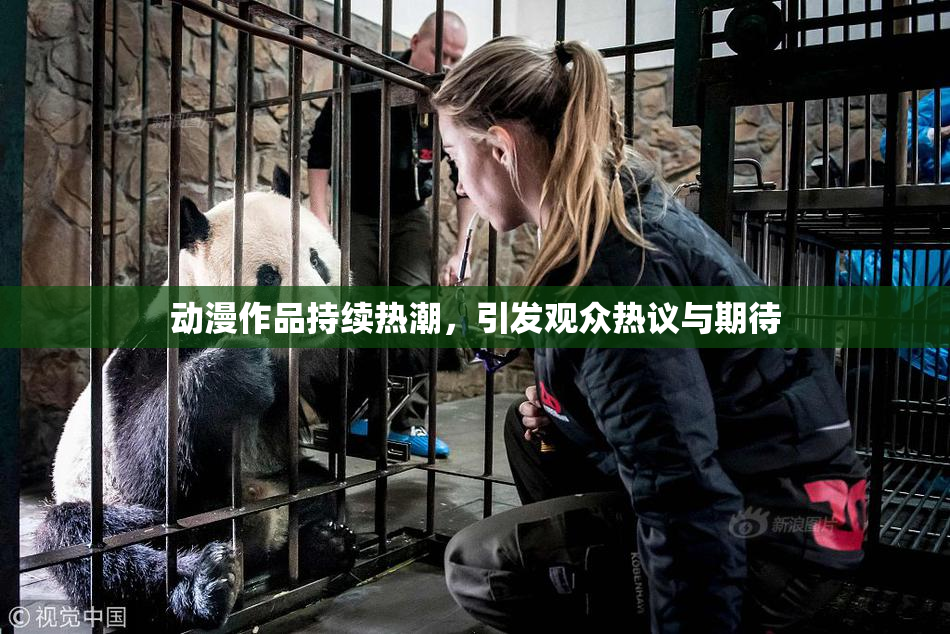 动漫作品持续热潮，引发观众热议与期待