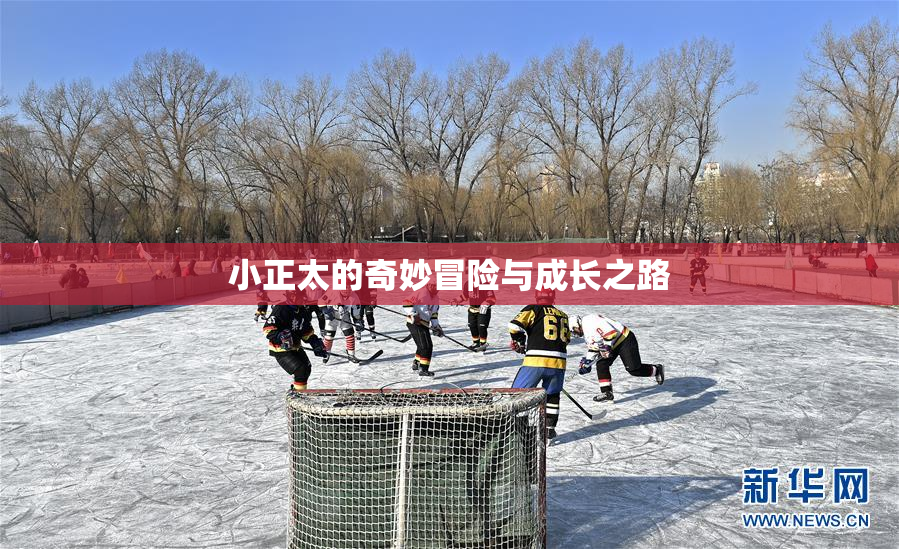 小正太的奇妙冒险与成长之路