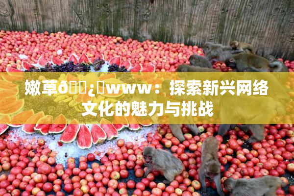 嫩草🌿‌www：探索新兴网络文化的魅力与挑战
