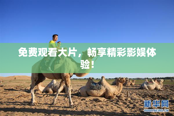 免费观看大片，畅享精彩影娱体验！