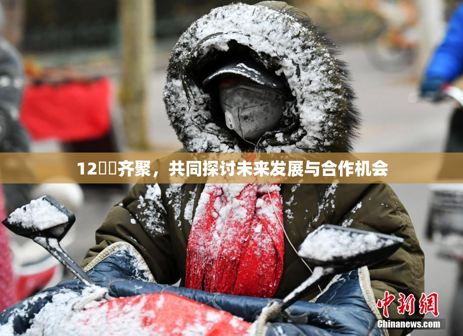 12妺妺齐聚，共同探讨未来发展与合作机会