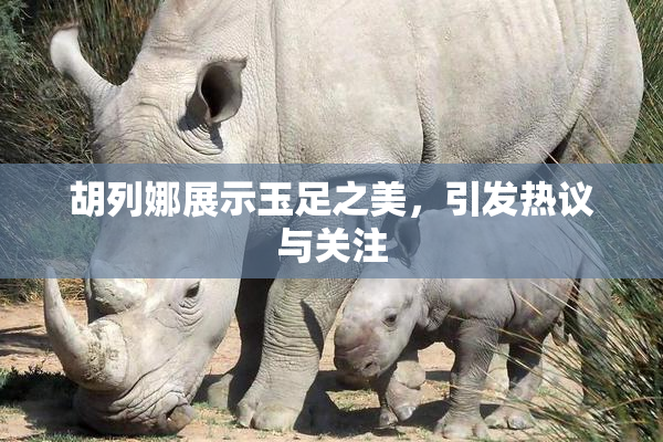 胡列娜展示玉足之美，引发热议与关注