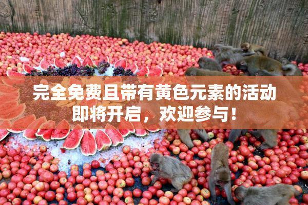 完全免费且带有黄色元素的活动即将开启，欢迎参与！