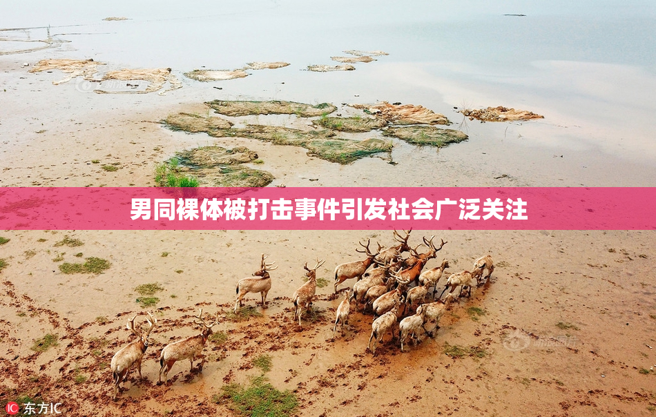 男同裸体被打击事件引发社会广泛关注