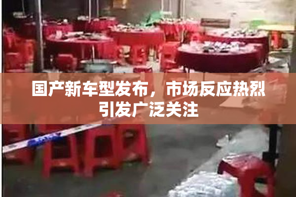 国产新车型发布，市场反应热烈引发广泛关注