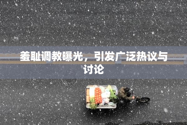 羞耻调教曝光，引发广泛热议与讨论
