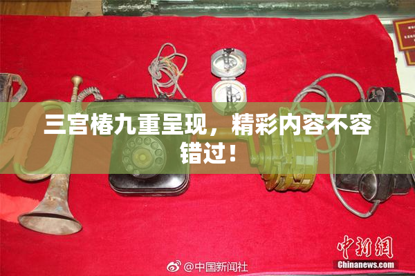 三宫椿九重呈现，精彩内容不容错过！