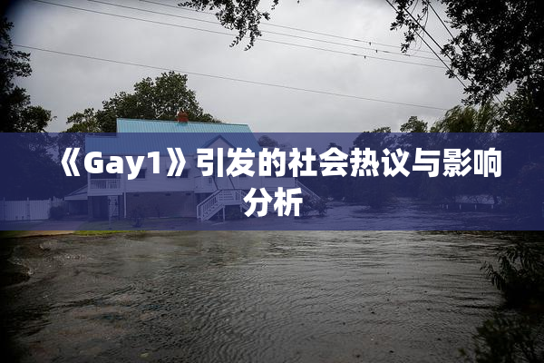 《Gay1》引发的社会热议与影响分析