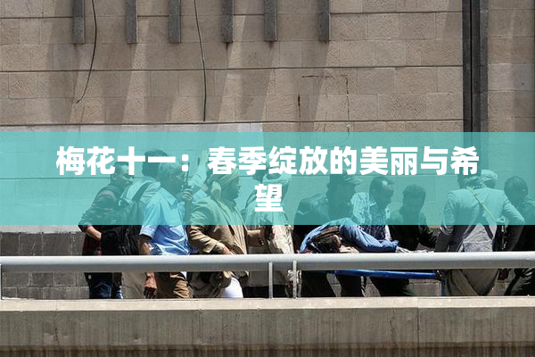梅花十一：春季绽放的美丽与希望