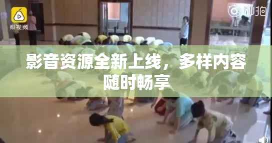 影音资源全新上线，多样内容随时畅享