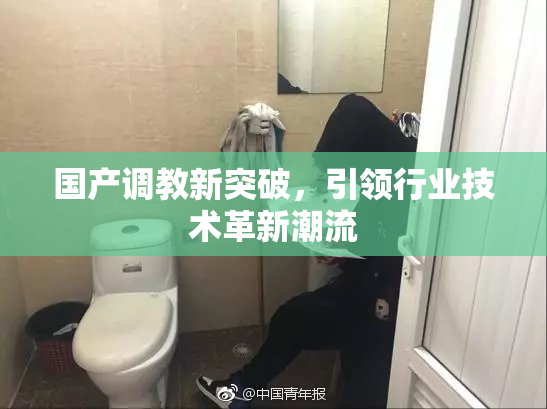国产调教新突破，引领行业技术革新潮流