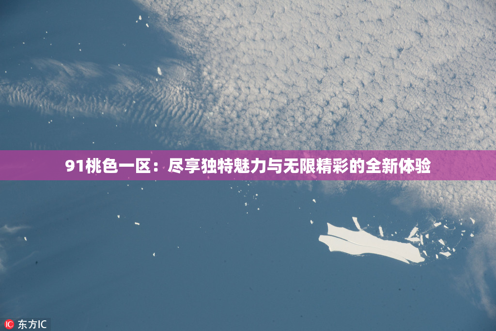 91桃色一区：尽享独特魅力与无限精彩的全新体验