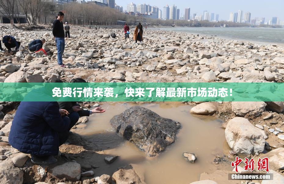 免费行情来袭，快来了解最新市场动态！