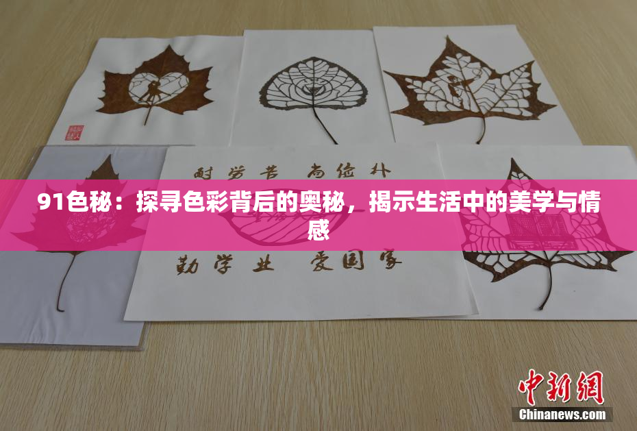 91色秘：探寻色彩背后的奥秘，揭示生活中的美学与情感