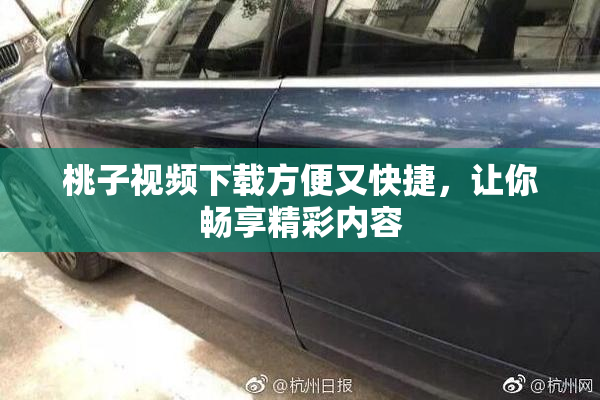 桃子视频下载方便又快捷，让你畅享精彩内容
