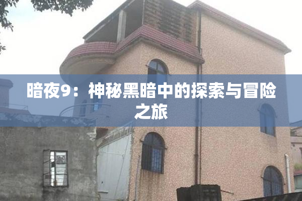 暗夜9：神秘黑暗中的探索与冒险之旅