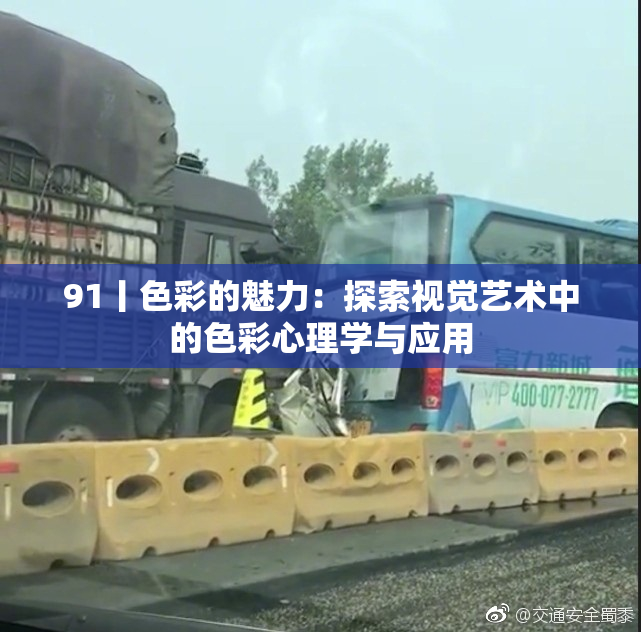 91丨色彩的魅力：探索视觉艺术中的色彩心理学与应用
