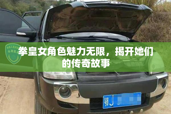 拳皇女角色魅力无限，揭开她们的传奇故事