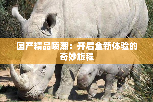 国产精品喷潮：开启全新体验的奇妙旅程
