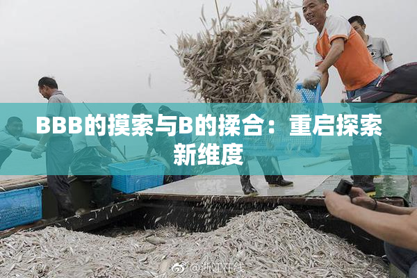 BBB的摸索与B的揉合：重启探索新维度