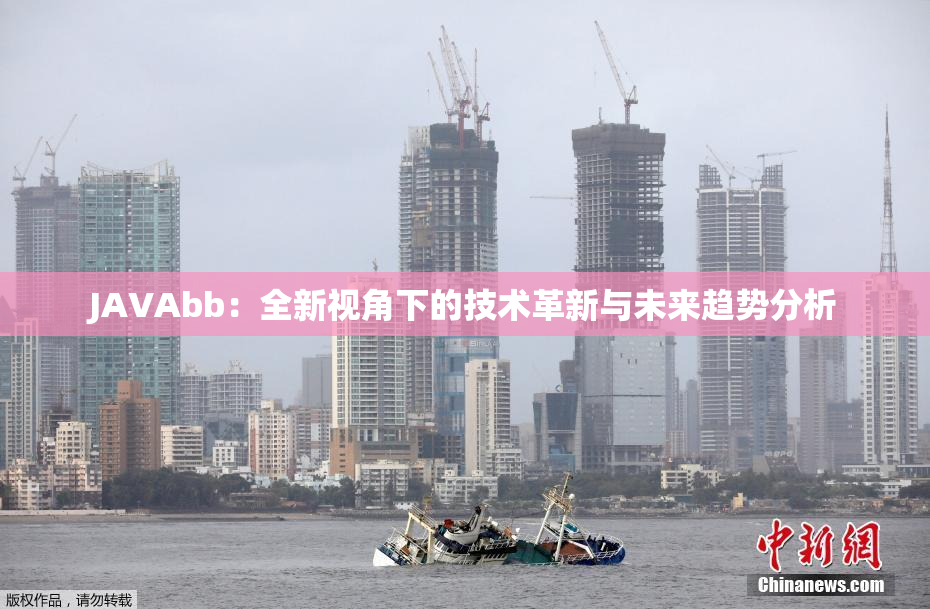 JAVAbb：全新视角下的技术革新与未来趋势分析