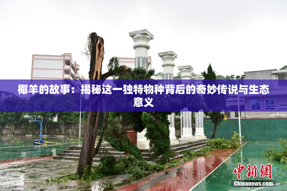 椰羊的故事：揭秘这一独特物种背后的奇妙传说与生态意义