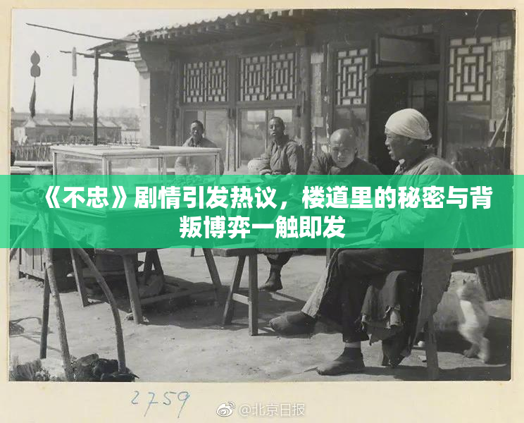 《不忠》剧情引发热议，楼道里的秘密与背叛博弈一触即发