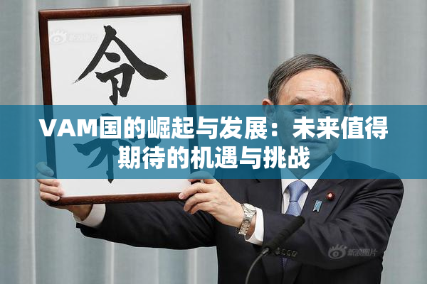 VAM国的崛起与发展：未来值得期待的机遇与挑战