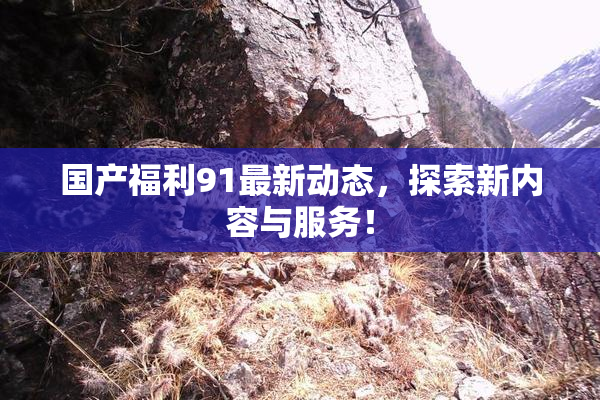国产福利91最新动态，探索新内容与服务！