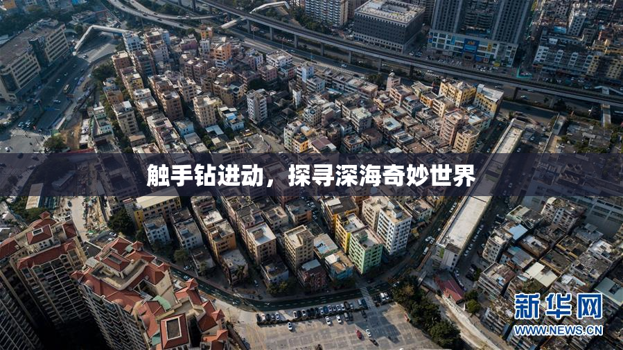 触手钻进动，探寻深海奇妙世界
