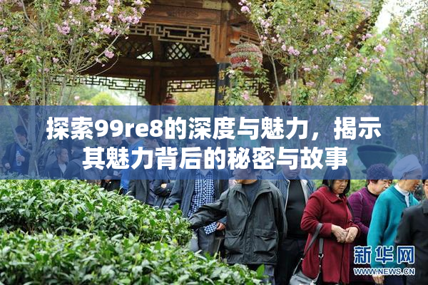 探索99re8的深度与魅力，揭示其魅力背后的秘密与故事