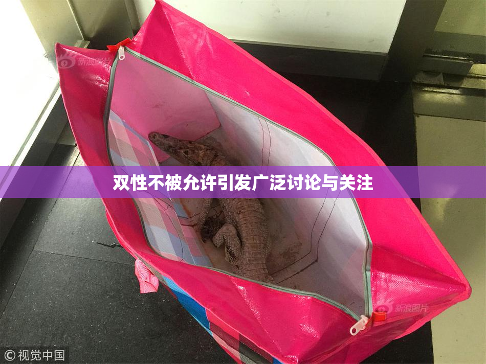双性不被允许引发广泛讨论与关注