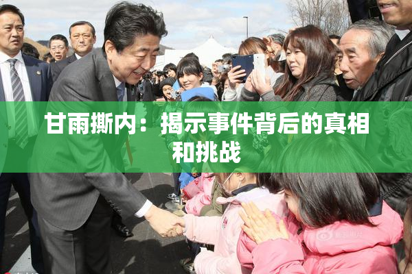 甘雨撕内：揭示事件背后的真相和挑战