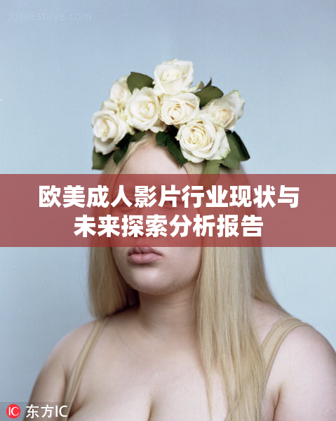 欧美成人影片行业现状与未来探索分析报告