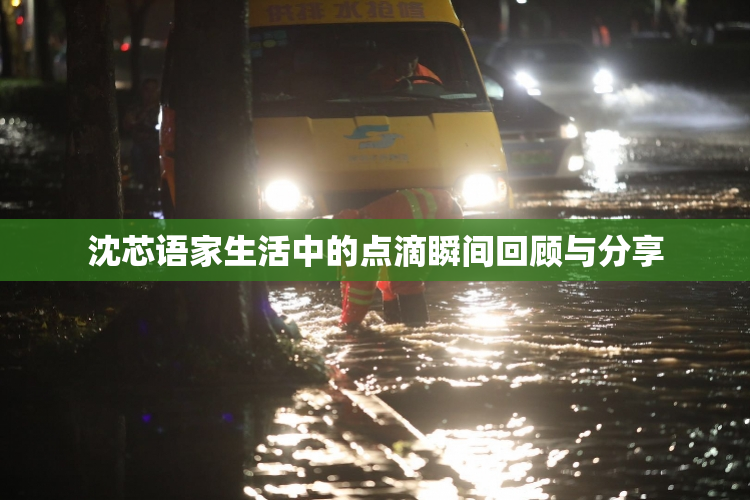 沈芯语家生活中的点滴瞬间回顾与分享
