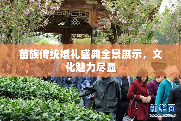苗族传统婚礼盛典全景展示，文化魅力尽显