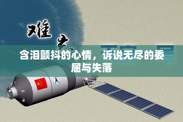 含泪颤抖的心情，诉说无尽的委屈与失落